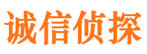 东宝市婚外情调查